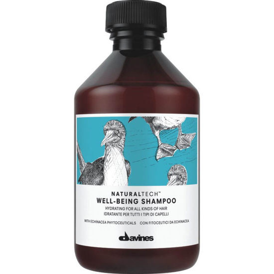 Imagen de Champú Well Being 250ml